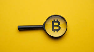 Bitcoin Fake Transaction Generator